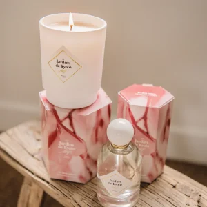photo bougie rose