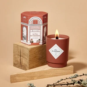 Le Feu de Cheminée