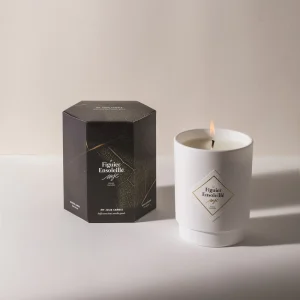 Le Figuier Ensoleillé